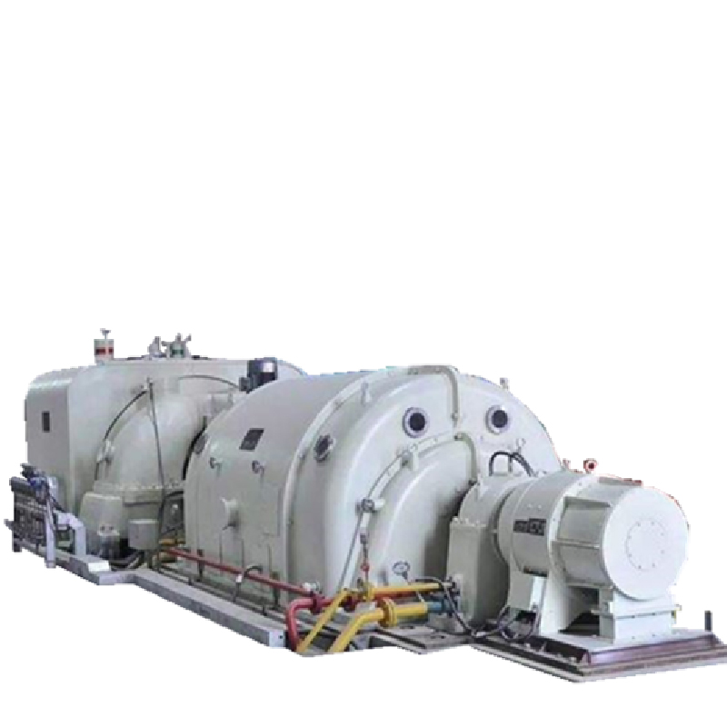 biomass-and-msw-power-plant-steam-turbine21135646192_副本